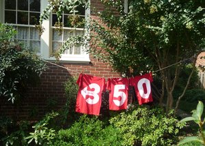 350 shirts